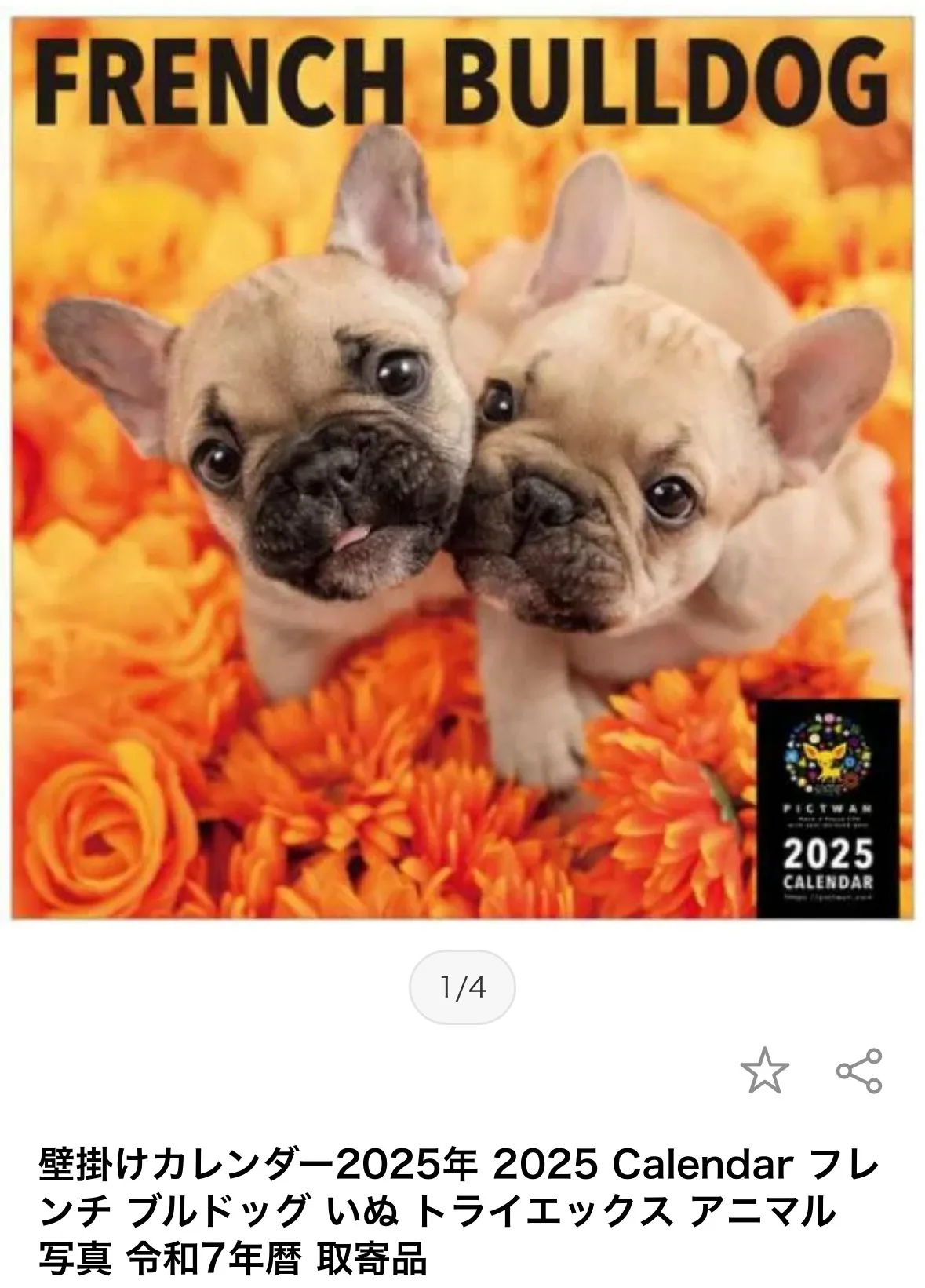 2025年カレンダー掲載 フレンチブルドッグ